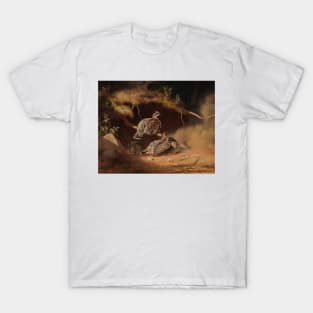 Hazel Grouse Wallowing In Sand by Ferdinand von Wright T-Shirt